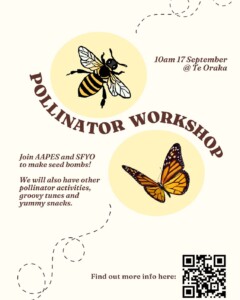 Dunedin seed bombs 17 Sep