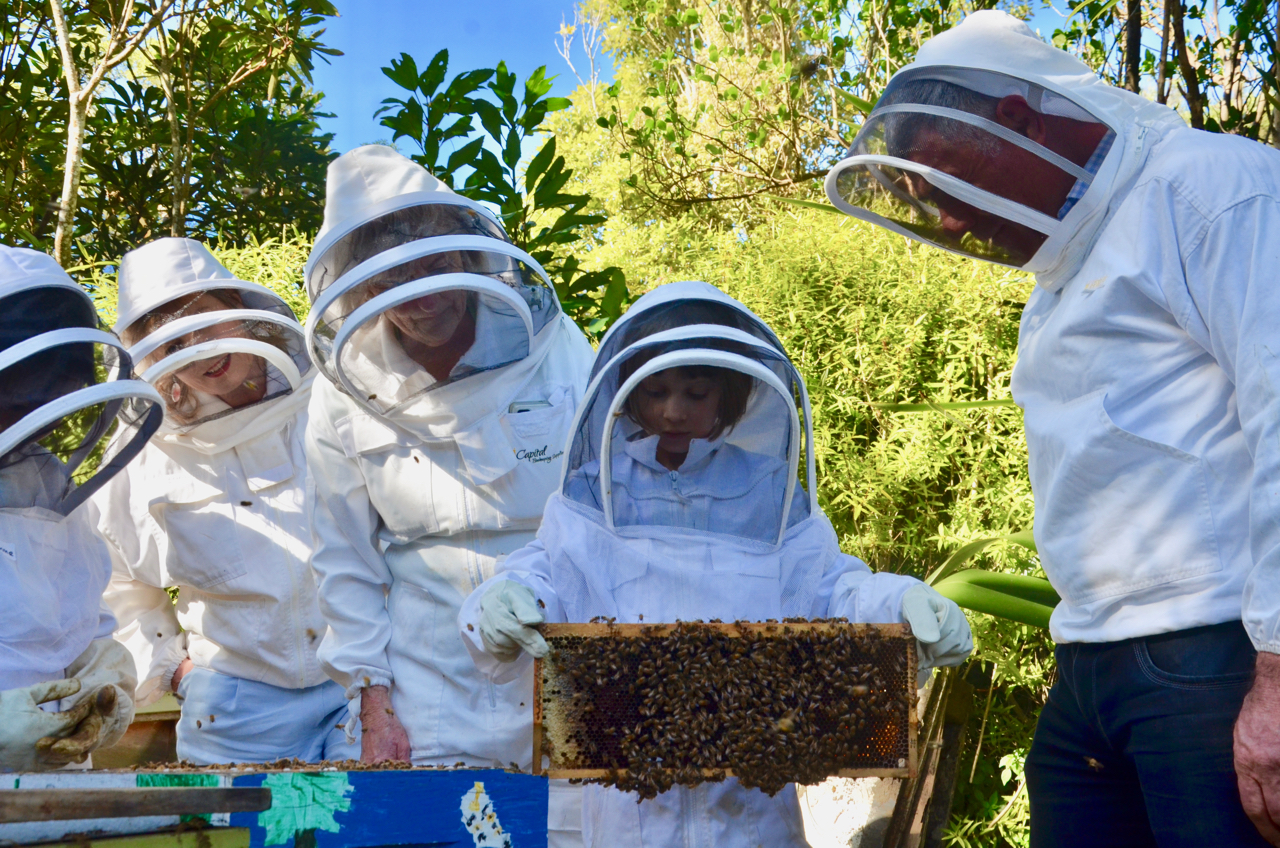 Learn About Beekeeping — Attend the 2023 Bee School