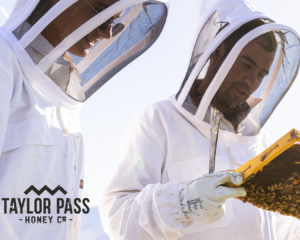 Taylor-Pass-Honey-Bee-Aware-Month-Eventbrite-vv2